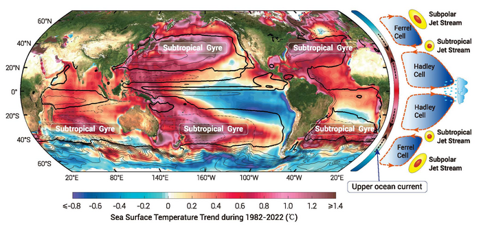 Schematic diagram showing how the background subtropical gyres promote enhanced subtropical ocean warming and drives tropical expansion by shifting the position of meridional temperature gradients.