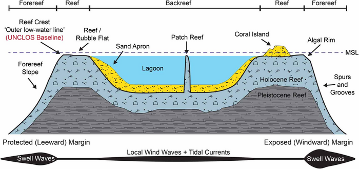 Cross-section of coral reef geomorphic zones