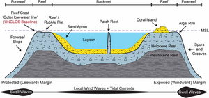 Cross-section of coral reef geomorphic zones