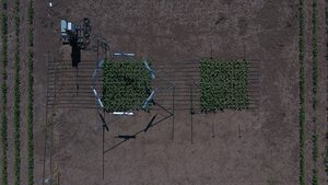 Overhead shot of heaters in the fields