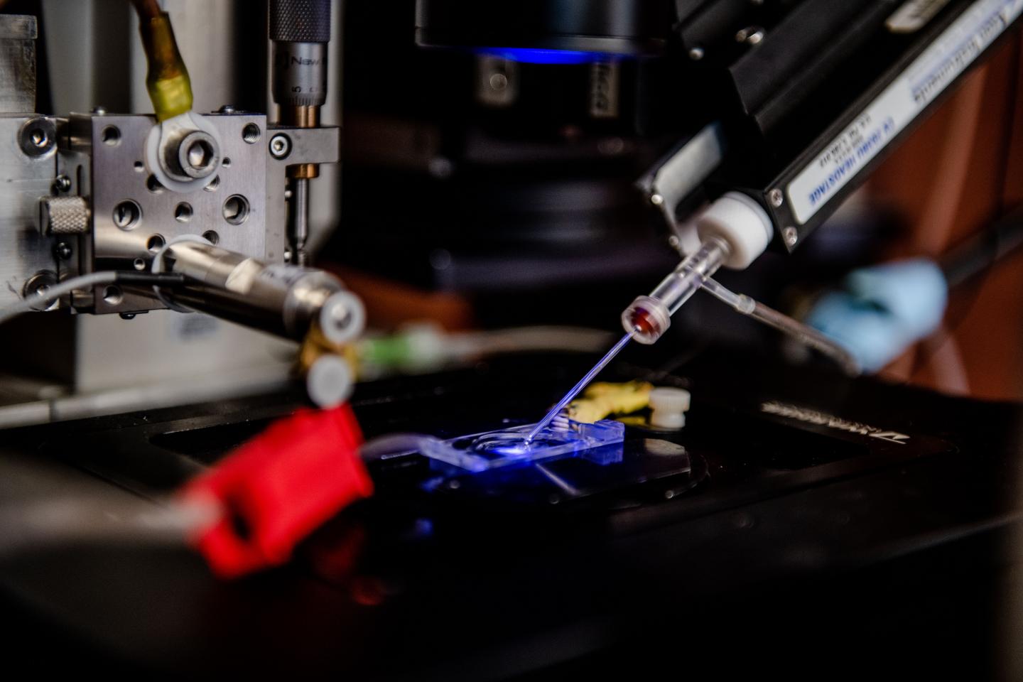 Setup for Patch-Clamp Electrophysiology