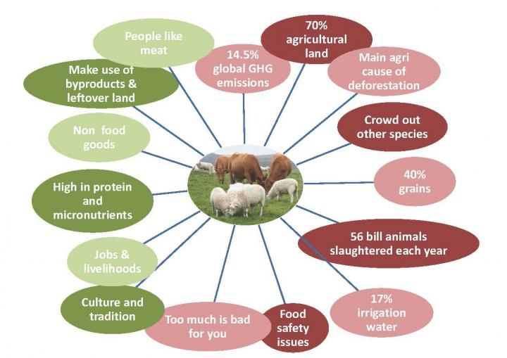 What Does Science Tell Us About the Effects o EurekAlert!