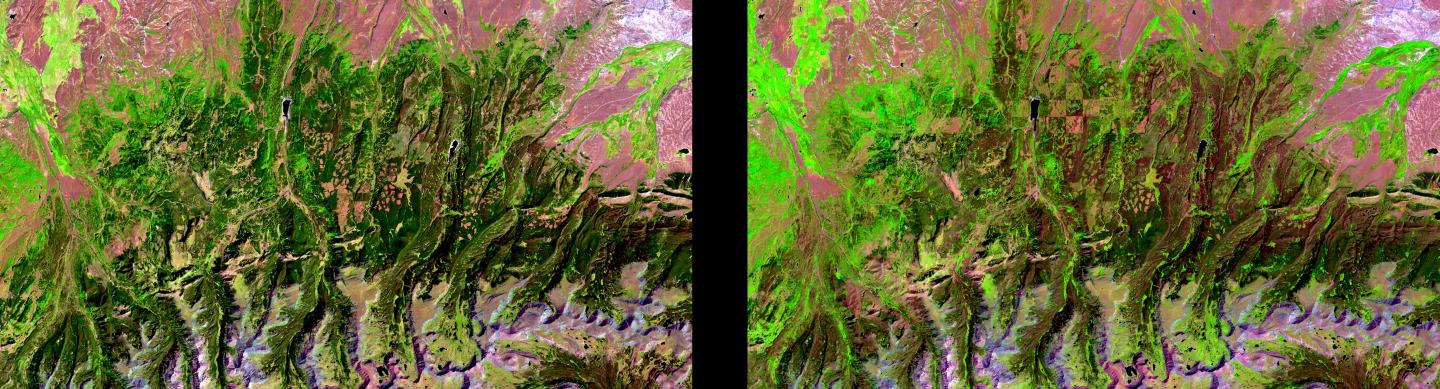 Landsat Image Pair