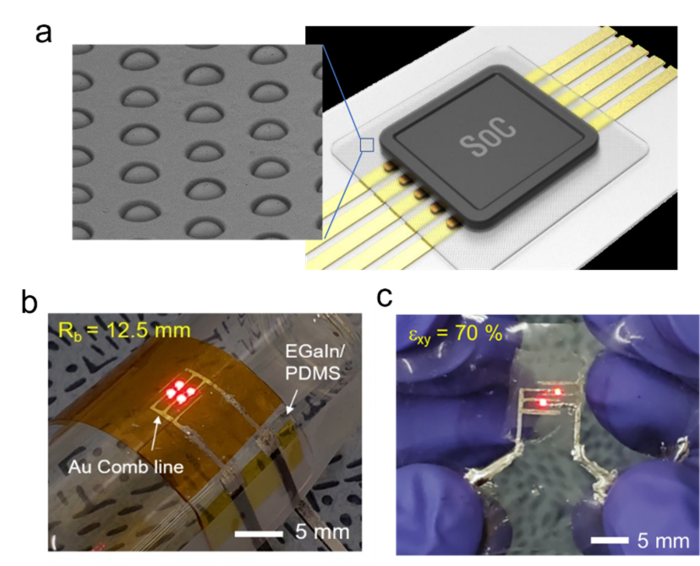Interfacing stretchable circuits for deformab EurekAlert!