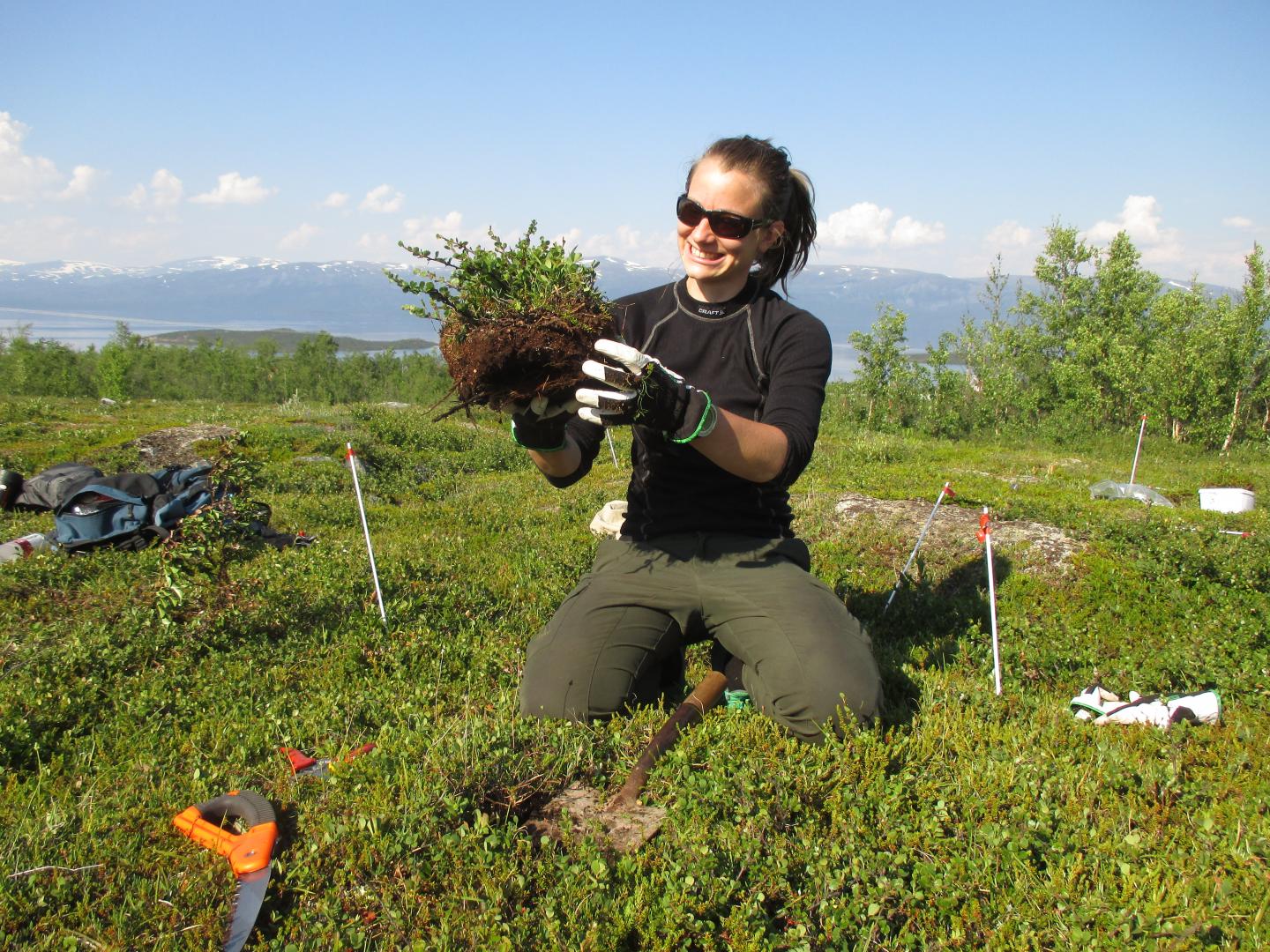 Mini-Ecosystems Were Collected