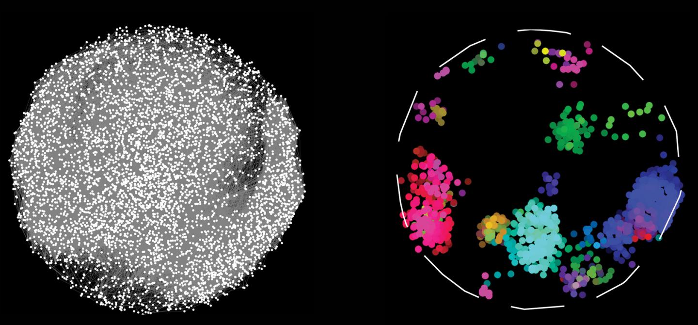 World's Larget Human Protein Interactions Map