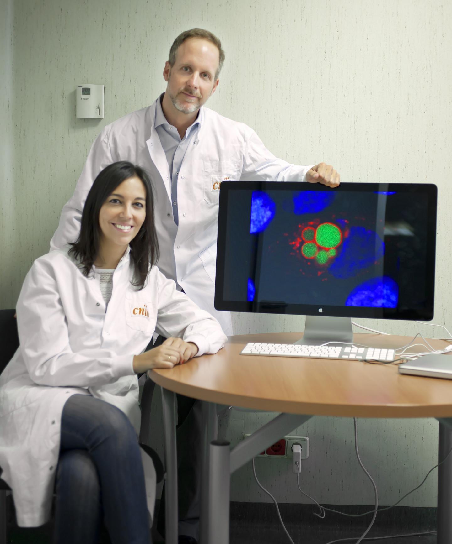 Bruno Sainz and Irene Miranda, Centro Nacional de Investigaciones Oncologicas