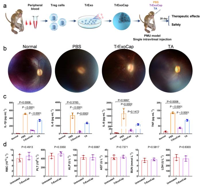 Therapeutic effects of TrExoCap in a PMU nonhuman primate model