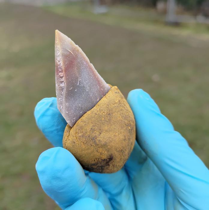 Stone tool glued into a handle