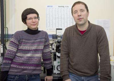Anna Shnyrova and Vadim Frolov, UPV/EHU-University of the Basque Country