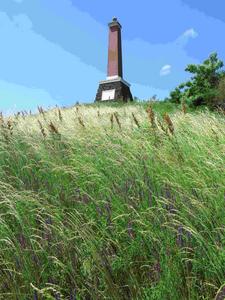 A memorial statue from the 19th century protected the steppe grassland vegetation