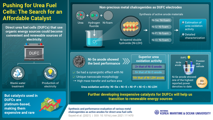 Towards Affordable Clean Energy: Exploring New Catalysts for Urea-based Fuel Cells