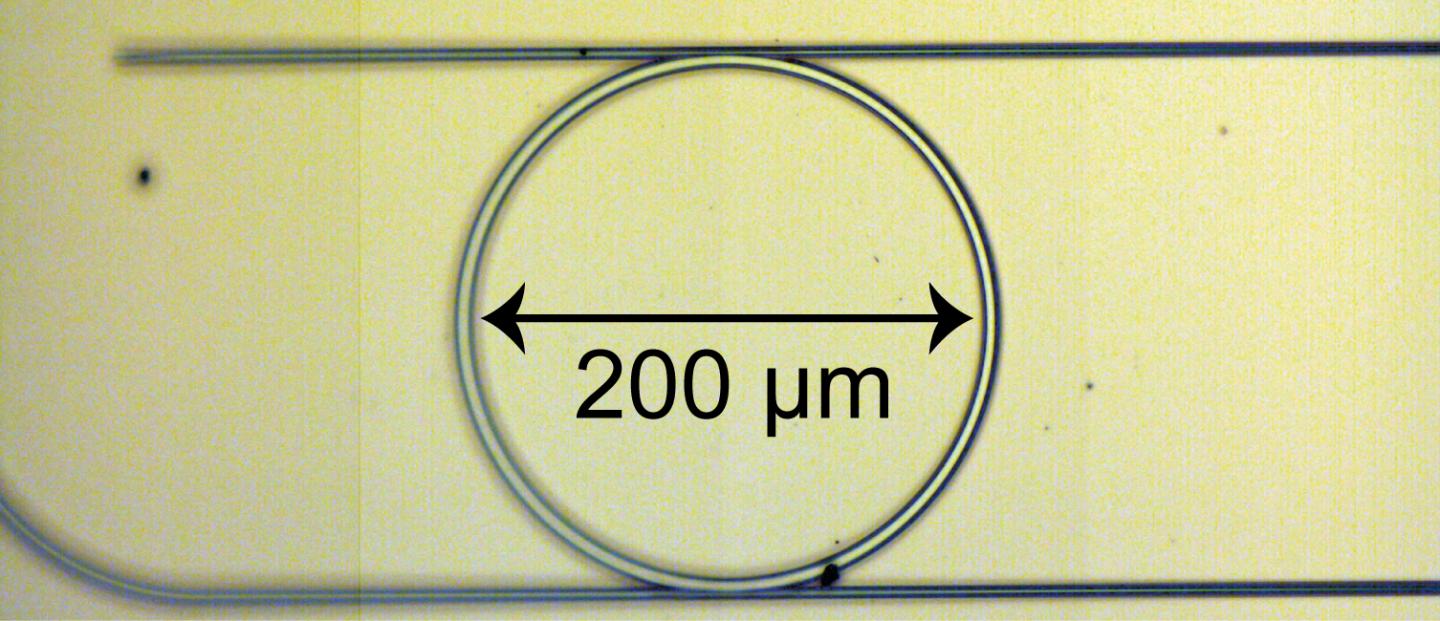 Microscope Image of a Microresonator Device