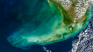 Seventy Percent of Florida’s Coral Reefs Are Eroding, New Study Finds