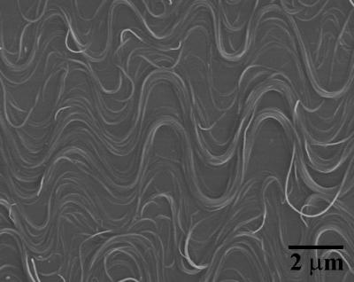 Buckled Nanotubes