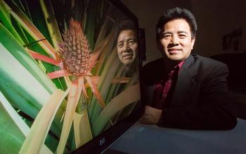 Ray Ming [IMAGE] | EurekAlert! Science News Releases