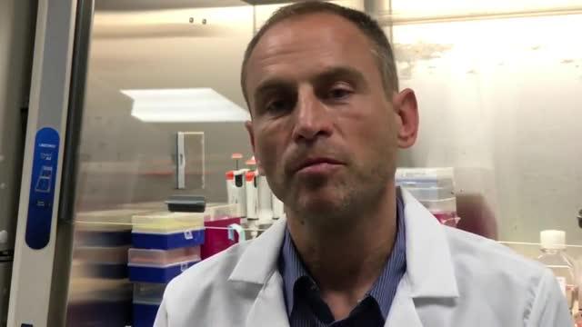 SBP's Alexey Terskikh, Ph.D., on using an Anti-Malaria Drug for Zika Virus