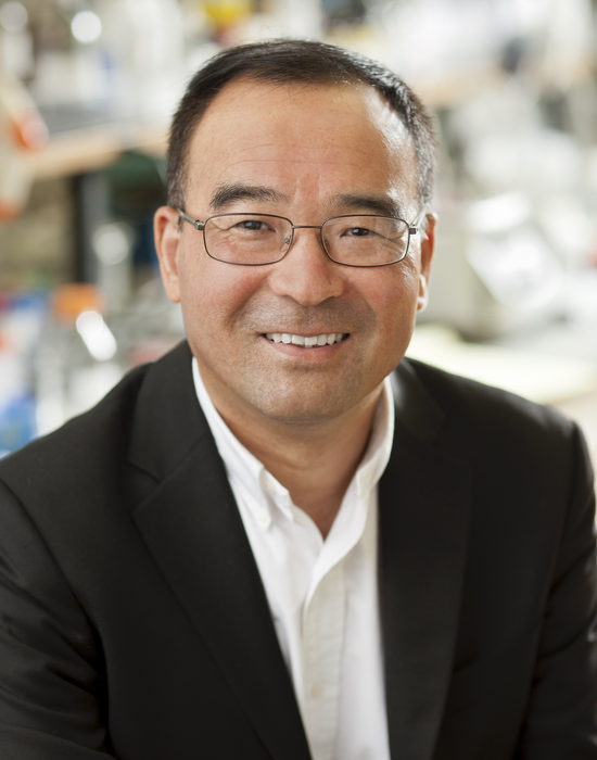 Binghui Shen, ph.D.