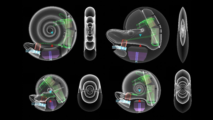 Robotic ammonite diagrams