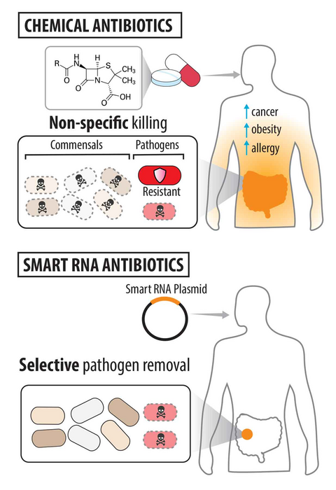 Smart RNA antibiotics