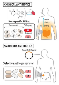 Smart RNA antibiotics