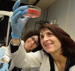 Adviye Ergul, Medical College of Georgia at Georgia Regents University