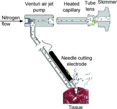 Cancer Mass Spectrometer