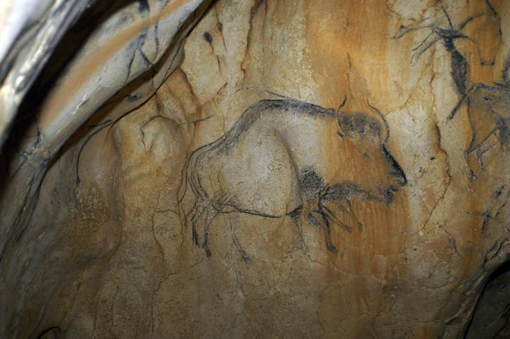 Cave Painting of Steppe Bison