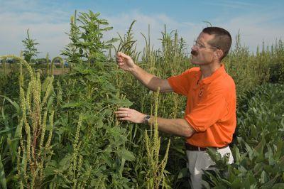 Hager with Waterhemp