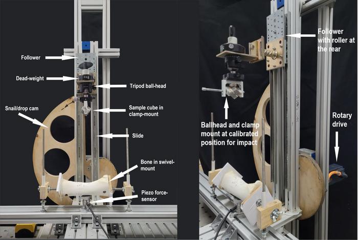 Experimental mechanical setup