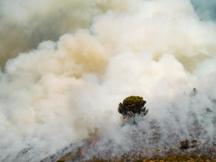 A moment during the controlled burning. Fotography of Elisa Vega Martínez
