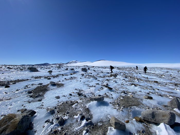 Ice field