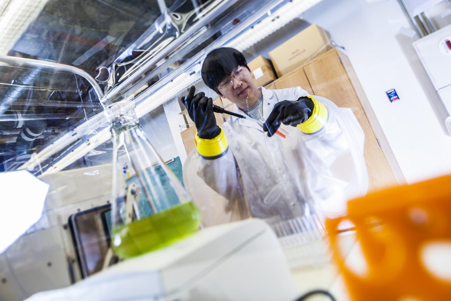 Frank Yang's Molecular Environmental Science Lab works to reduce antimicrobial contamination of soil, water