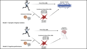 Physical Activity May Improve Alzheimer’s Disease Outcomes by Lowering Brain Inflammation