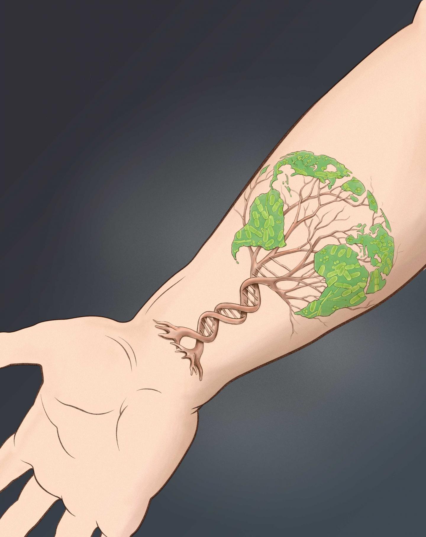 Skin Tree of Life