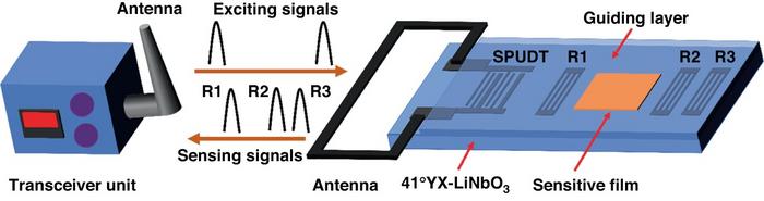 Schematic and working principle of the proposed SAW chemical sensor.