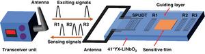 Schematic and working principle of the proposed SAW chemical sensor.