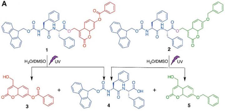 Using UV Light to Break Down Self-Assembling Molecules into Co-Assembling Fragments