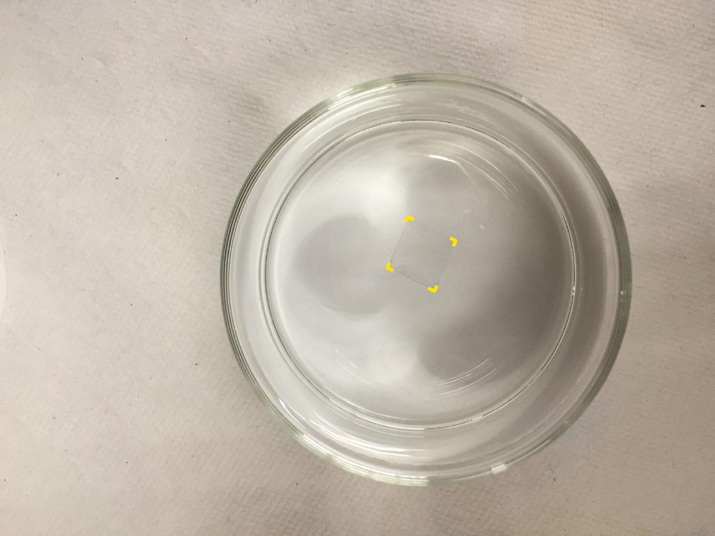 Sheet of Rivet Graphene