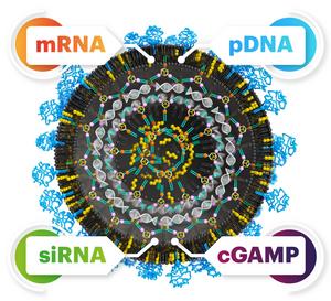 Versatility of the lipid nanoparticles