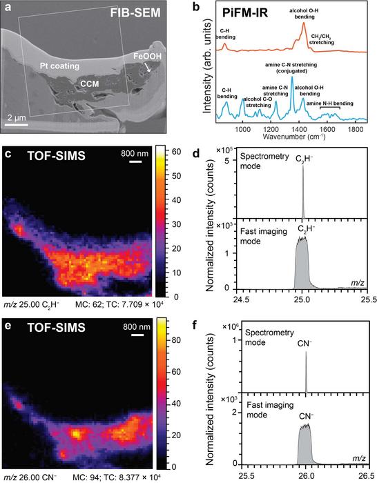 Absence of characteristic biomolecular functional groups in the condensed carbonaceous matter