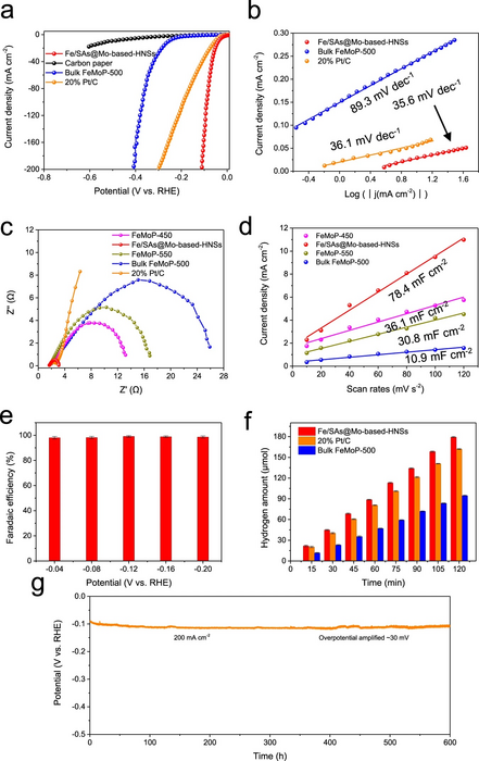 Electrocatalytic performance of the Fe/SAs@Mo-based-HNSs catalyst