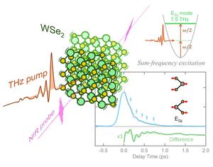 Terahertz sum-frequency excitation of phonon in WSe2