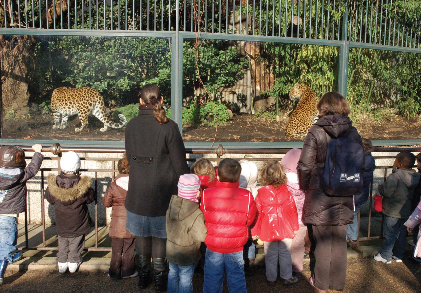 Menagerie du Jardin des Plantes (Paris, France)