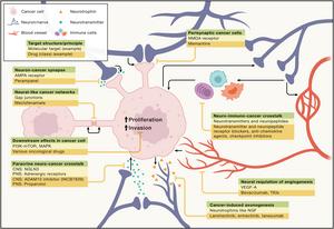 Therapeutic opportunities at the intersection of neuroscience and cancer biology