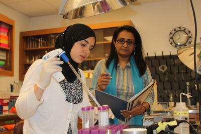 Student Farida Allam and Professor Samina Salim, University of Houston