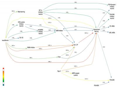 Alcino Silva, University of California - Los Angeles