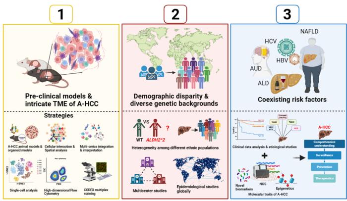 From bench to bedside: Challenges and cutting-edge technologies for A-HCC study in the future.