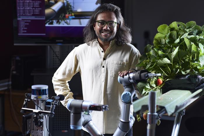 Strawberry-picking robot to speed up harvest and tackle labour shortage