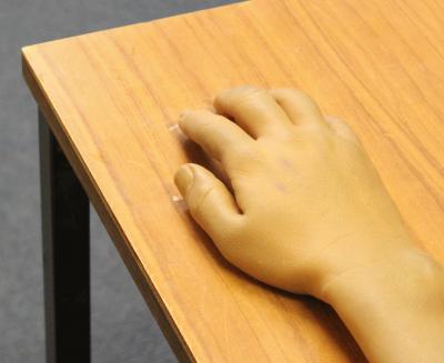 Prosthetic Hand